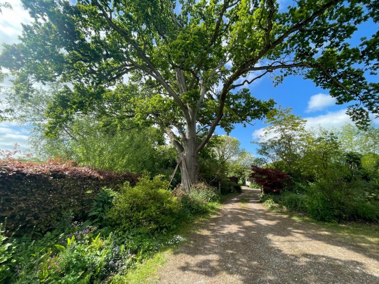 Images for Barton Road, Butleigh,