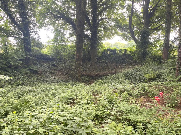 Images for Wells Road, Emborough, Radstock