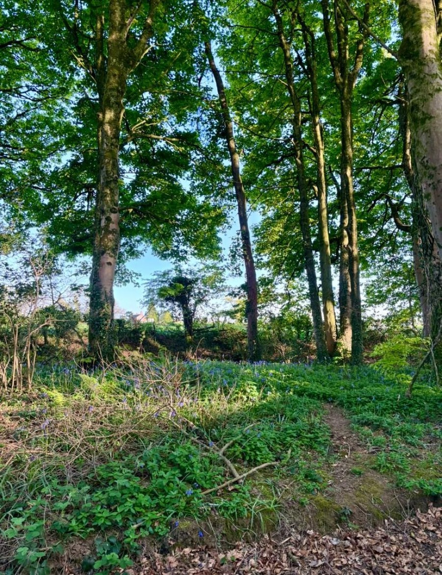 Images for Wells Road, Emborough, Radstock