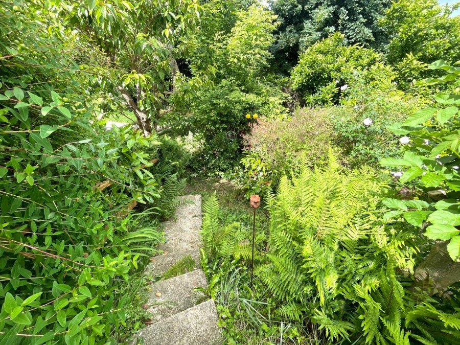 Images for Hexton Road, Glastonbury