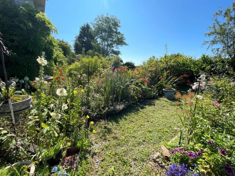 Images for Havyatt, Glastonbury