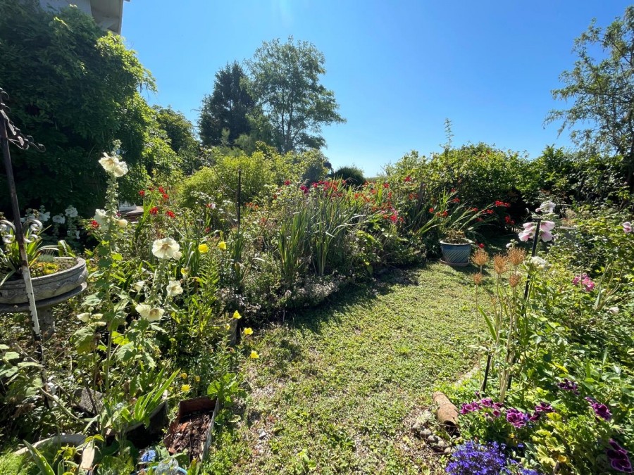 Images for Havyatt, Glastonbury