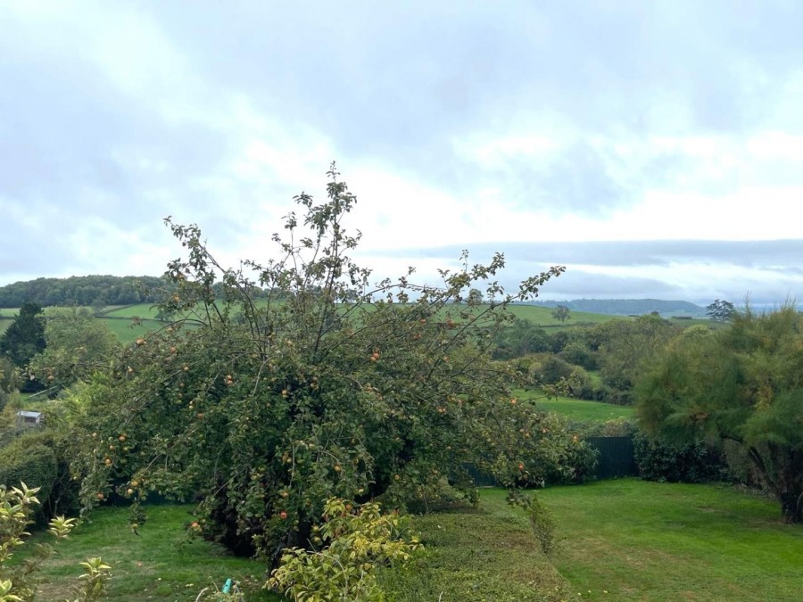 Images for Pedwell Lane, Ashcott, Bridgwater