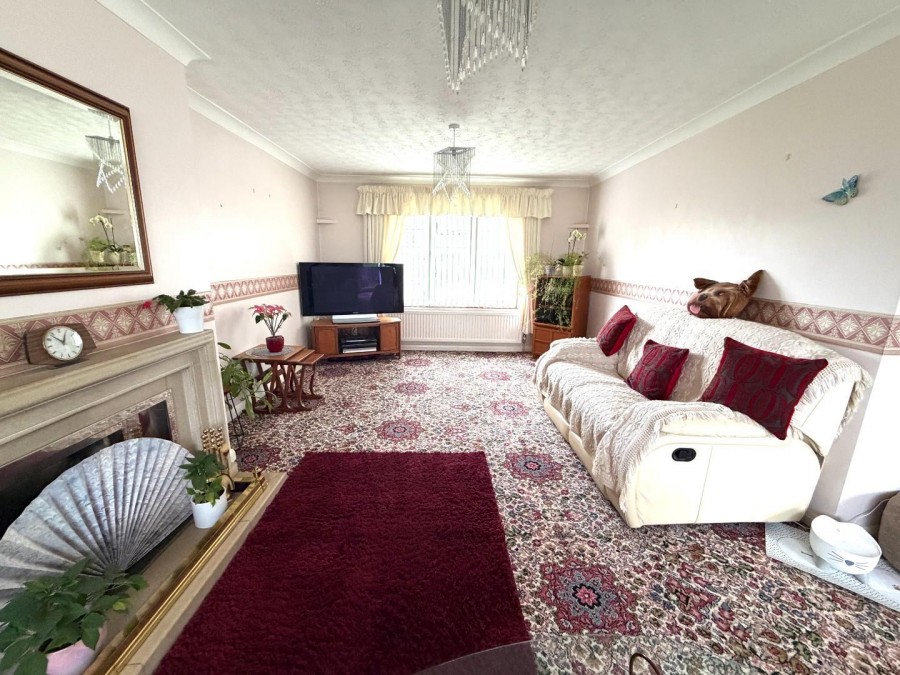 Images for Gooselade, Street