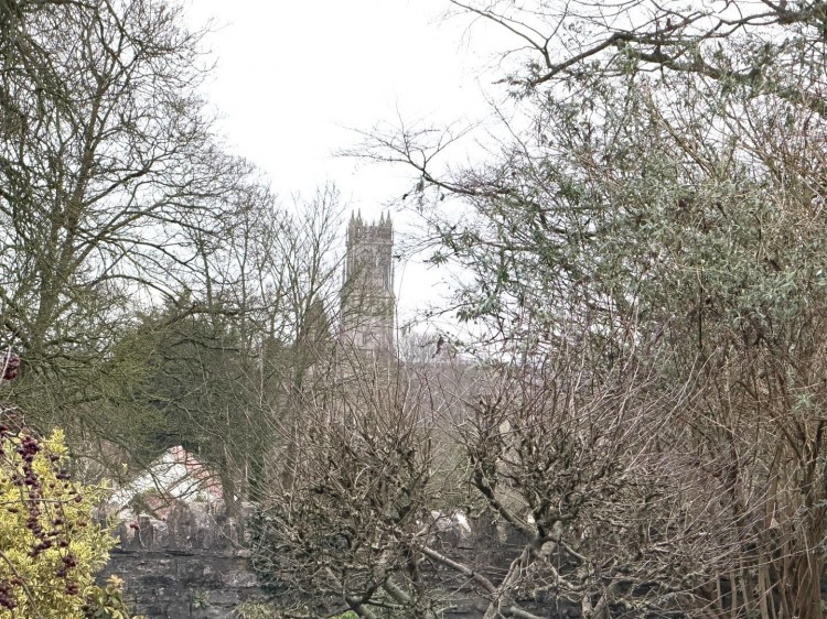 Images for Bere Lane