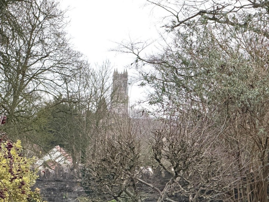 Images for Bere Lane