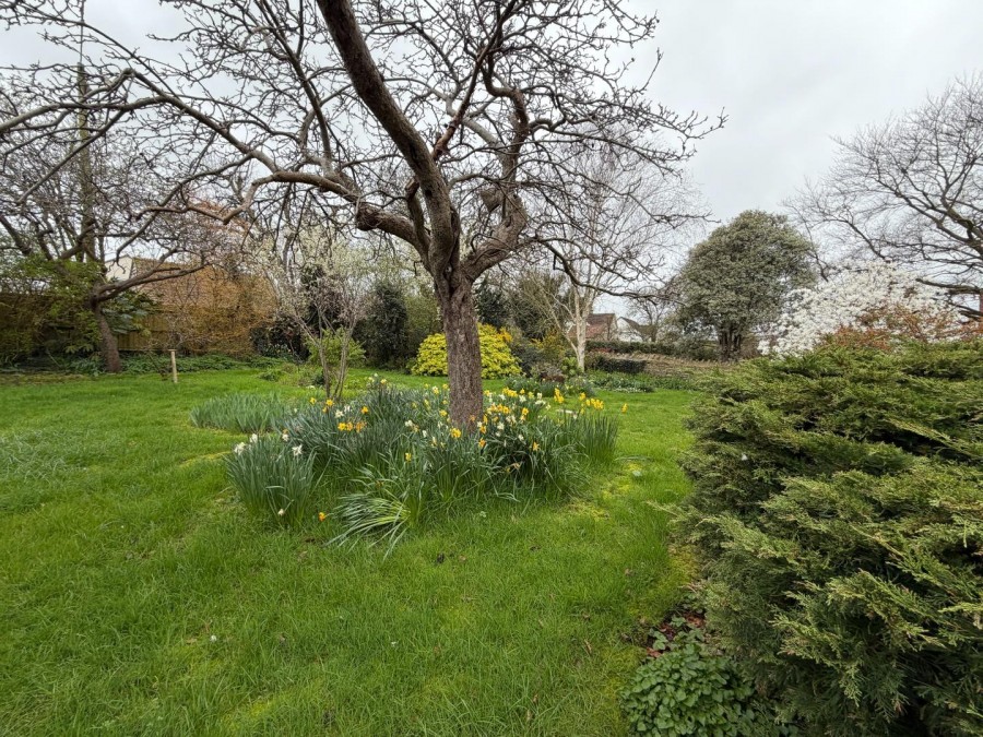 Images for Langland Lane, Catcott, Bridgwater